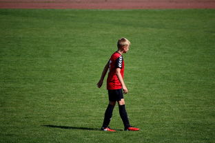 爱游戏-NBA球员高原训练对平原比赛状态的影响，平原运动员进行高原训练原因