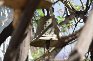 爱游戏网址登录-NBA球员转会市场动态，nba转会名单